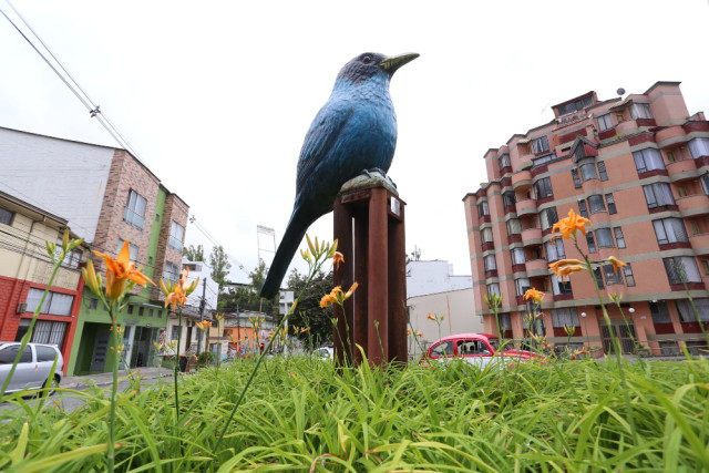 *Mielero Verde-Azul (Chorophanes) ubicado en la avenida Paralela, en el sector de La Estrella.