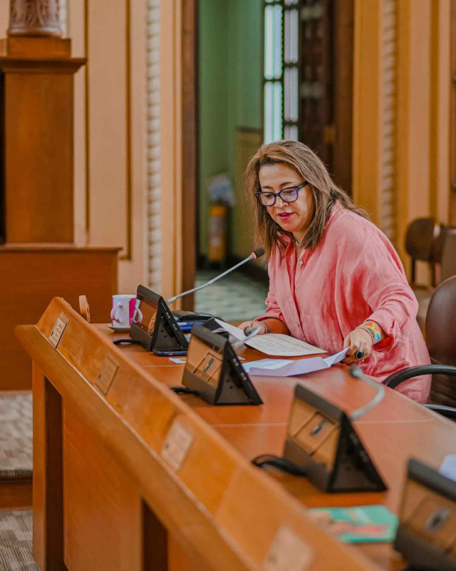 La prisa casi hunde el proyecto Foto|Asamblea de Caldas|LA PATRIA