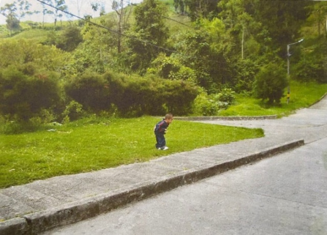 Foto | Cortesía | LA PATRIA  Así lucía la zona verde antes de ser intervenida. 