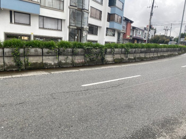 Foto | LA PATRIA La señalización que separa a la ciclobanda del resto de la avenida está tan despintada que hay zonas en las que es imperceptible.