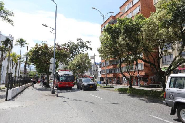 Foto | Luis Fernando Trejos | LA PATRIA   Según cuentas de la Alcaldía, hay 242 árboles en el separador de la avenida Santander. DENUNCIE contó 290.