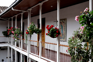 Corredor adornado de flores en casa señorial de Salamina. Foto | Luis Fernando Rodríguez