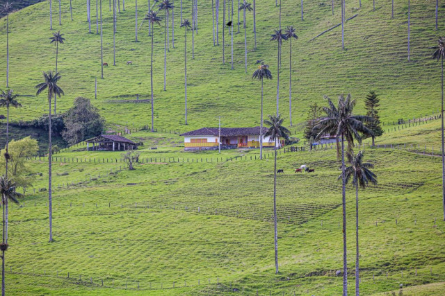 VALLE DEL COCORA SALENTO QUINDÍO