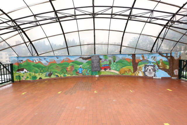 Murales presentado por las estudiantes.