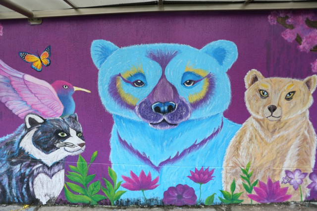 Murales presentado por las estudiantes.