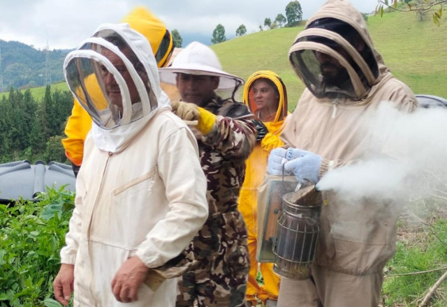 Apicultura sostenible en Manizales: menos agroquímicos, más miel