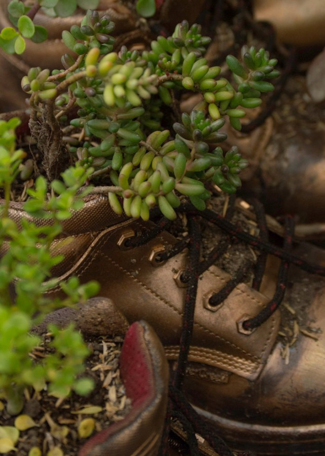 Foto | Luis Venegas | LA PATRIA Luis Venegas, ganador de la categoría Biodiversidad del CIGE, expresó que uno no es consciente de lo que hacen en Emas. "El día que nos trajeron fue una sorpresa al ver lo que realizan. La foto es el desecho y ver cómo se regenera la vida en él”. Las botas de los operarios de Emas fueron reutilizadas para hacer materos en el vivero del CIGE.