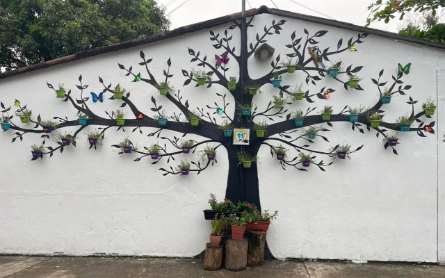 Un árbol pintado en la pared, se convierte en un espléndido soporte de pequeñas materas, gracias al ingenio y creatividad.