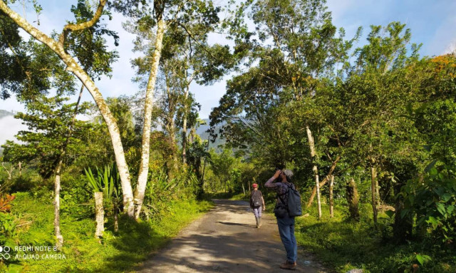 El club de aves Pueblo Nuevo, Melanerpes pulcher, participó en la jornada mundial del conteo de aves, Global Big Day el sábado (10 de mayo).