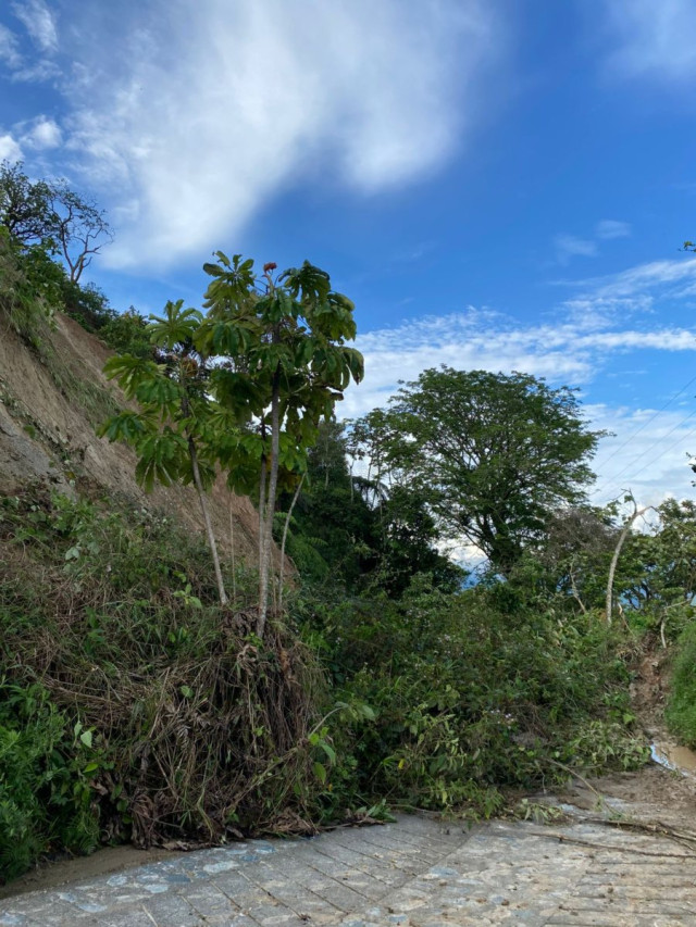 Desapareció una finca: oleada de derrumbes atormenta a un municipio de Caldas, Invías atiende las rutas La vereda Caracolí de Supía es una de las más afectadas por las lluvias y los derrumbes.