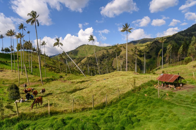 Ganador Mejor foto de Salamina. Refugio de la montaña, por Gustavo Garcés Villa, de Medellín.