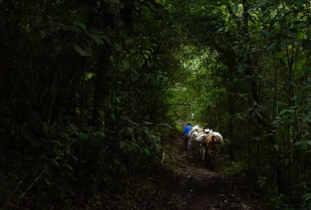 Mención en la categoría Bellezas naturales de Caldas. Arrieros Del Siglo XXI, por Jhon Jairo Villarraga Montilla, de Peira.