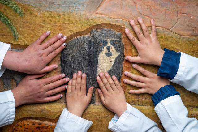 Mención en la categoría Paz y justicia ambiental. Esperanza, por Sebastián Di Domenico, de Bogotá.