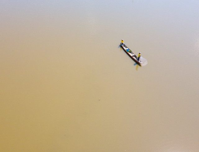 Mención en la categoría Paz y justicia ambiental. PaZCiencia, por Diego Díaz Enríquez, de Cali.