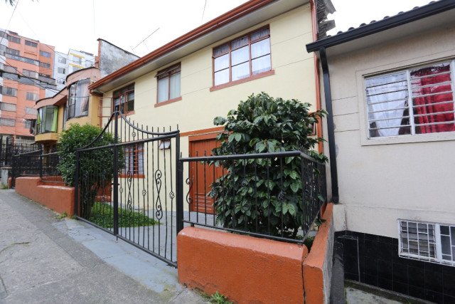 Algunos de los granos que da el árbol del antejardín de la casa de Adalberto.