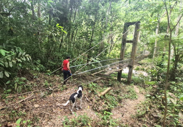 “El puente es un símbolo para nuestra comunidad. Vienen a tomar fotos, a disfrutar del paisaje y a sentir la paz del río”, comenta Fabio Cardona, representante de turismo en la zona.