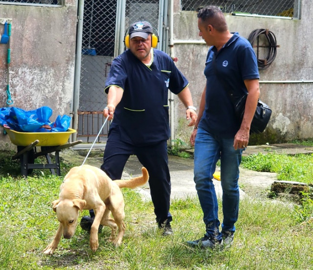 Hernán Tabares (d), con el perro que adoptó. Lo acompaña un empleado de la UPA.