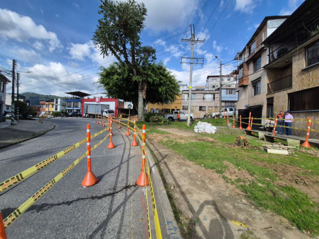 Manizales: ilusiones y sacrificios de un nuevo bulevar comercial, así cambian el sector | Al Frente de Obra Este era el tulipán africano que fue talado en San Jorge.