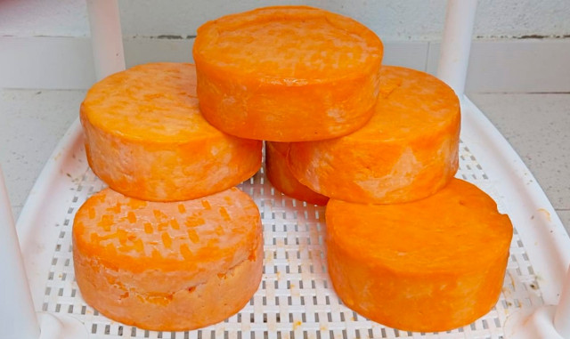 Queso tipo holandés se produce en Nariño sin refrigeración y con calidad gourmet