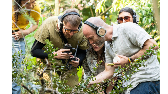 Tominejo Ecolodge, a 20 minutos de Manizales, vivirán una experiencia única: escuchar la música de las plantas. 