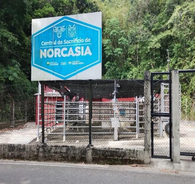 Planta de Beneficio Animal de Norcasia