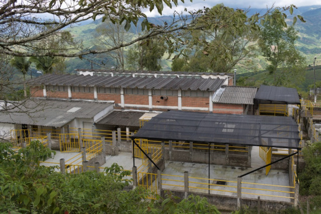 Planta de Beneficio Animal de Salamina