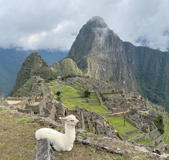 Machu Picchu