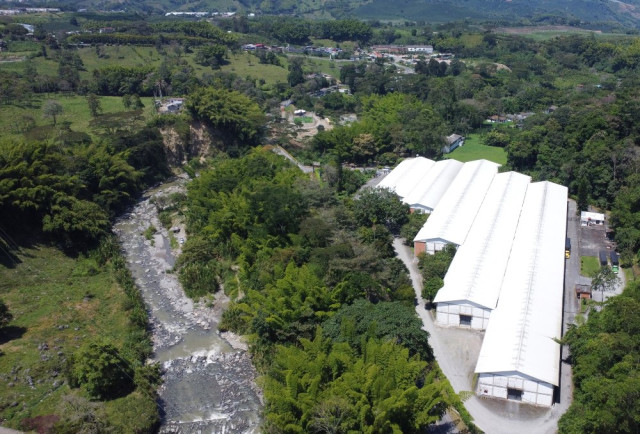 Una panorámica aérea muestra árboles y arena a orillas del río Chinchiná, donde antes del 13 de noviembre de 1985 se ubicaba el caserío El Río, frente a las bodegas de Cenicafé.