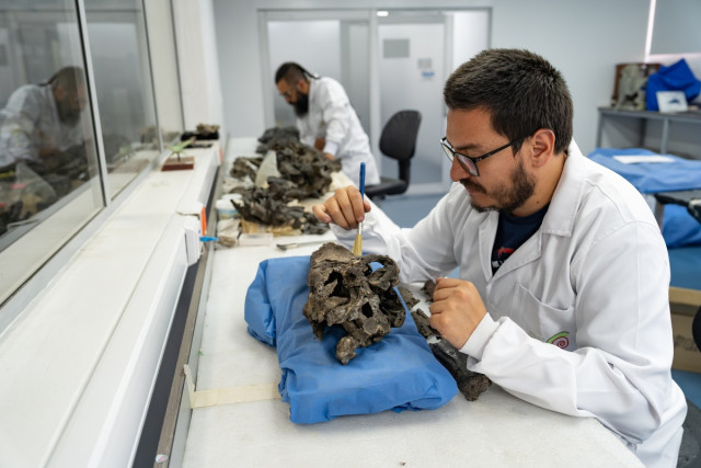 Estos hallazgos no solo son importantes a nivel científico, sino también educativo,  cultural y patrimonial.