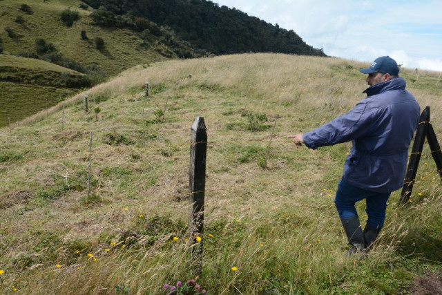 Cuenca alta de Río Blanco