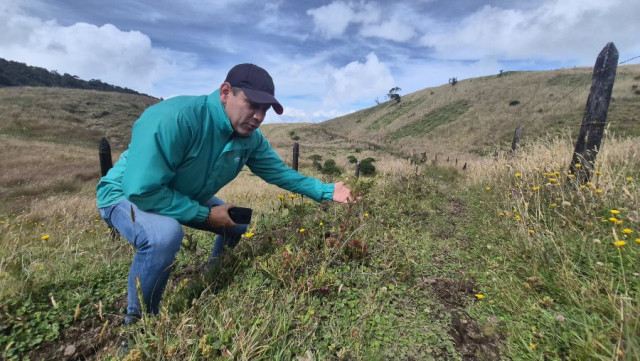 Cuenca alta de Río Blanco