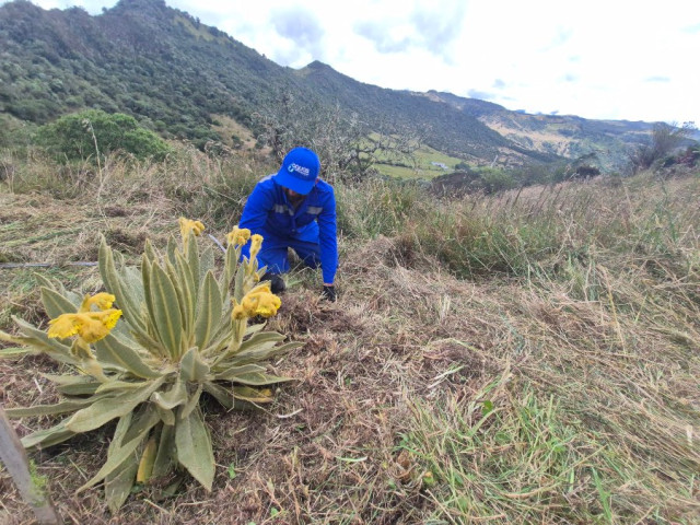 Cuenca alta de Río Blanco