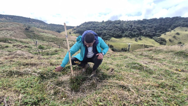 Cuenca alta de Río Blanco