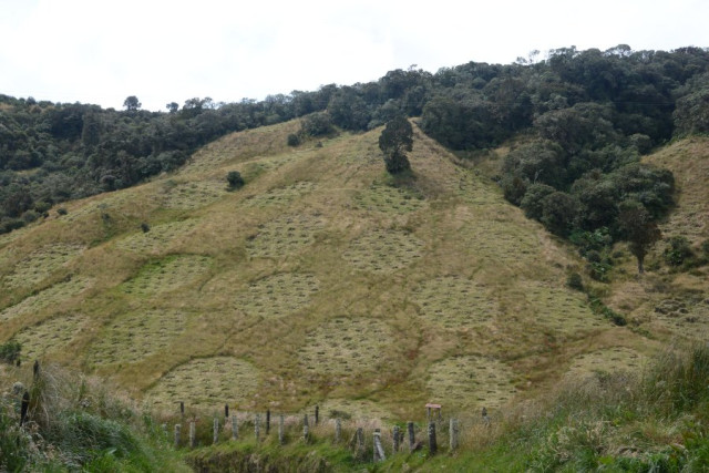 Cuenca alta de Río Blanco