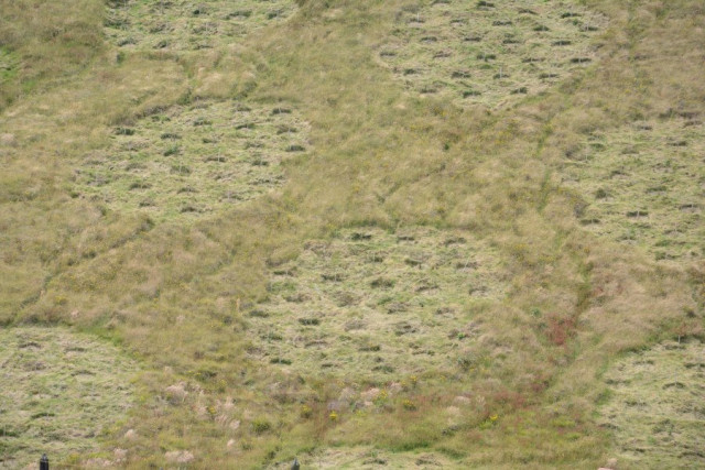 Cuenca alta de Río Blanco