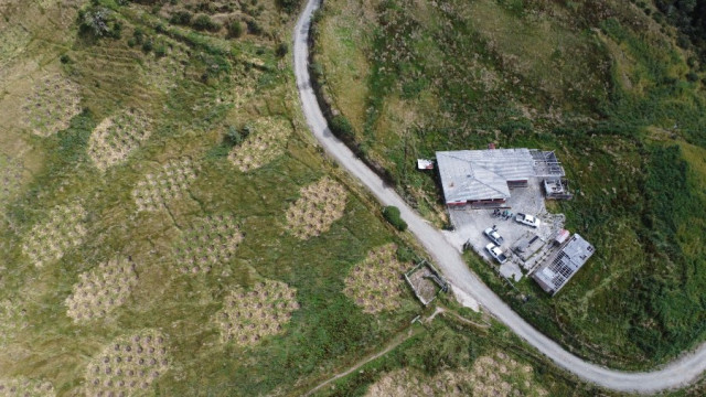 Cuenca alta de Río Blanco