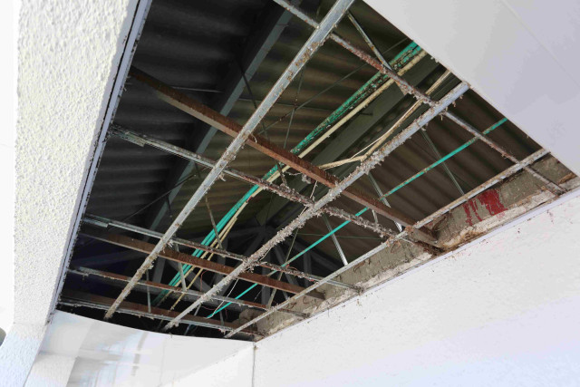 palomas en colegio causaron problemas de salubridad y de infraestructura.