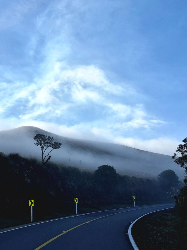 La vía, a la altura de El Arbolito, quedó envuelta en el paso lento de la neblina.