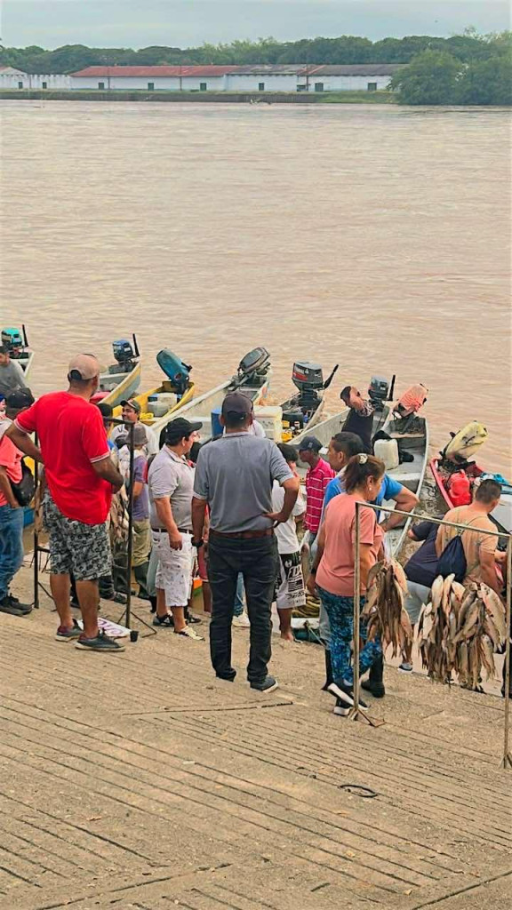 subienda de pescado en La Dorada