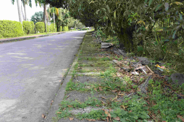 Piden poda en senderos peatonales de Santágueda