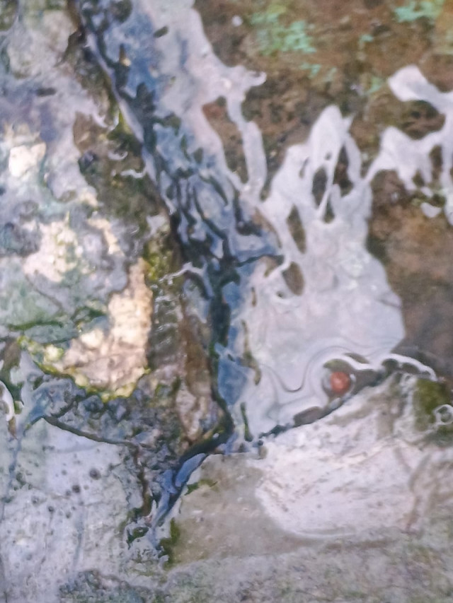 Pacto de cumplimiento por filtración en casas de Arauca. 