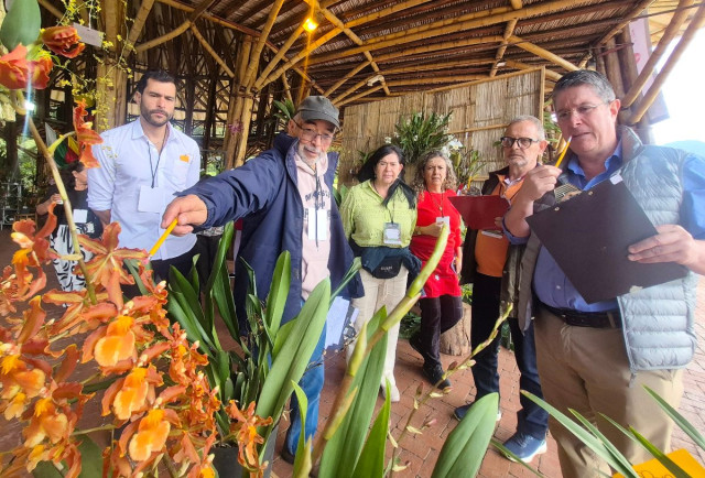 XX Exposición Nacional de Orquídeas: Así eligieron las mejores de la edición