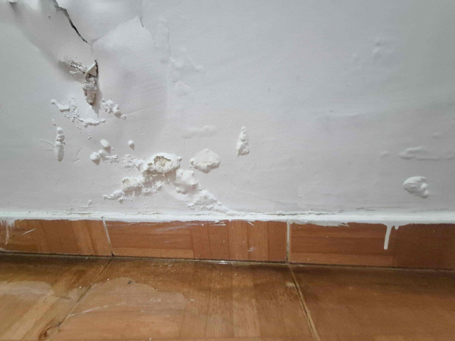 Humedad en casas del barrio El Bosque