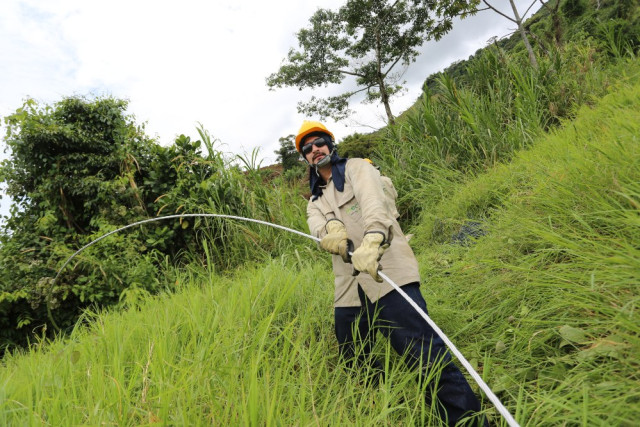 Los ayudantes deben transportar el cable de un poste al otro.