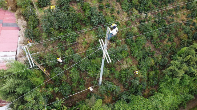 En la imagen de observa al liniero y debajo de él los ayudantes.