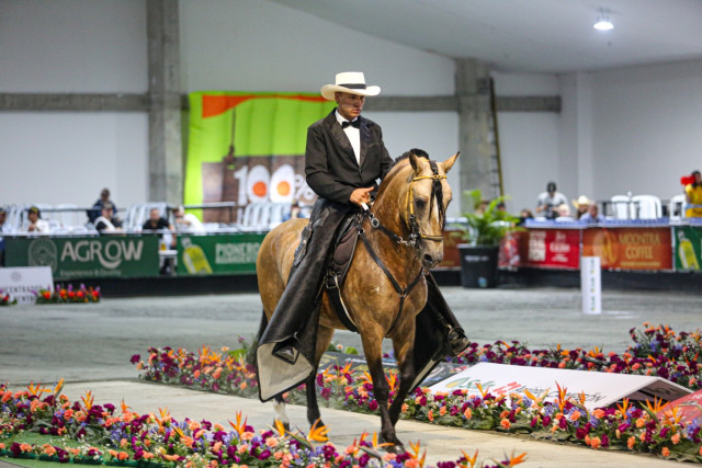 Así arrancó la Feria Equina en Manizales: competencias, remates y plan familiar todo el fin de semana Así arrancó la Feria Equina en Manizales: competencias, remates y plan familiar todo el fin de semana