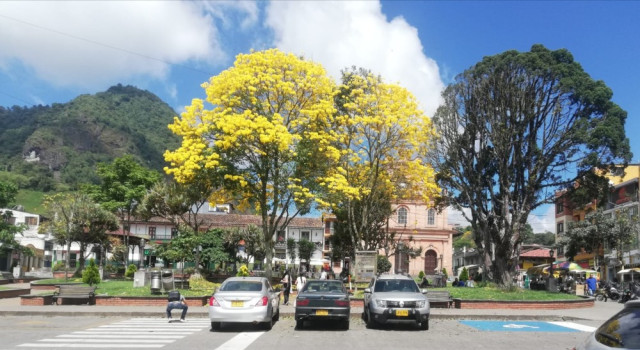 A quienes pasan por los parques de San Sebastián y La Candelaria se maravillan con el espectáculo paisajístico.