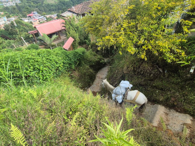 En la vereda Tejares piden arreglar el camino que ha sufrido socavación por las aguas lluvias