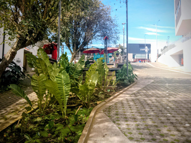  Bulevar de la 48 reclama reparaciones