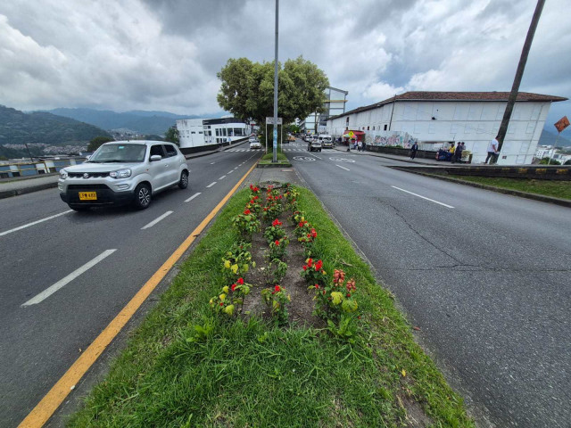 Vandalismo en el jardín de las avenidas